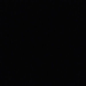 Meet your Posher, Carter